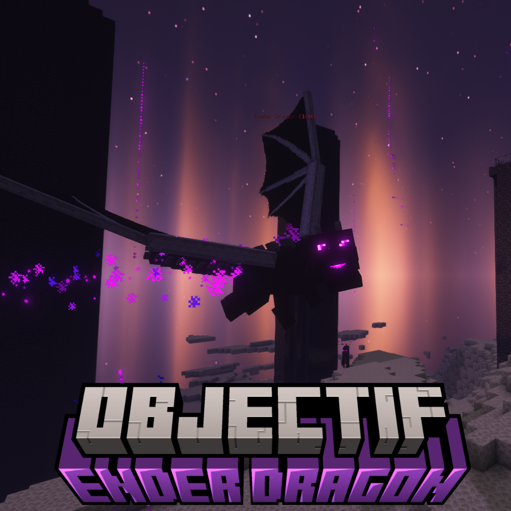 Objectif Ender Dragon